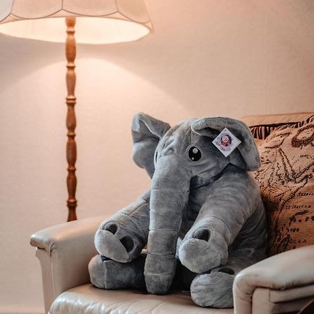 Olifant In Osterode Apartment Osterode am Harz ภายนอก รูปภาพ