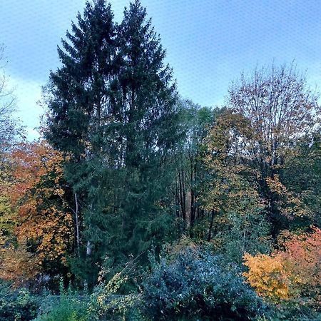 Olifant In Osterode Apartment Osterode am Harz ภายนอก รูปภาพ