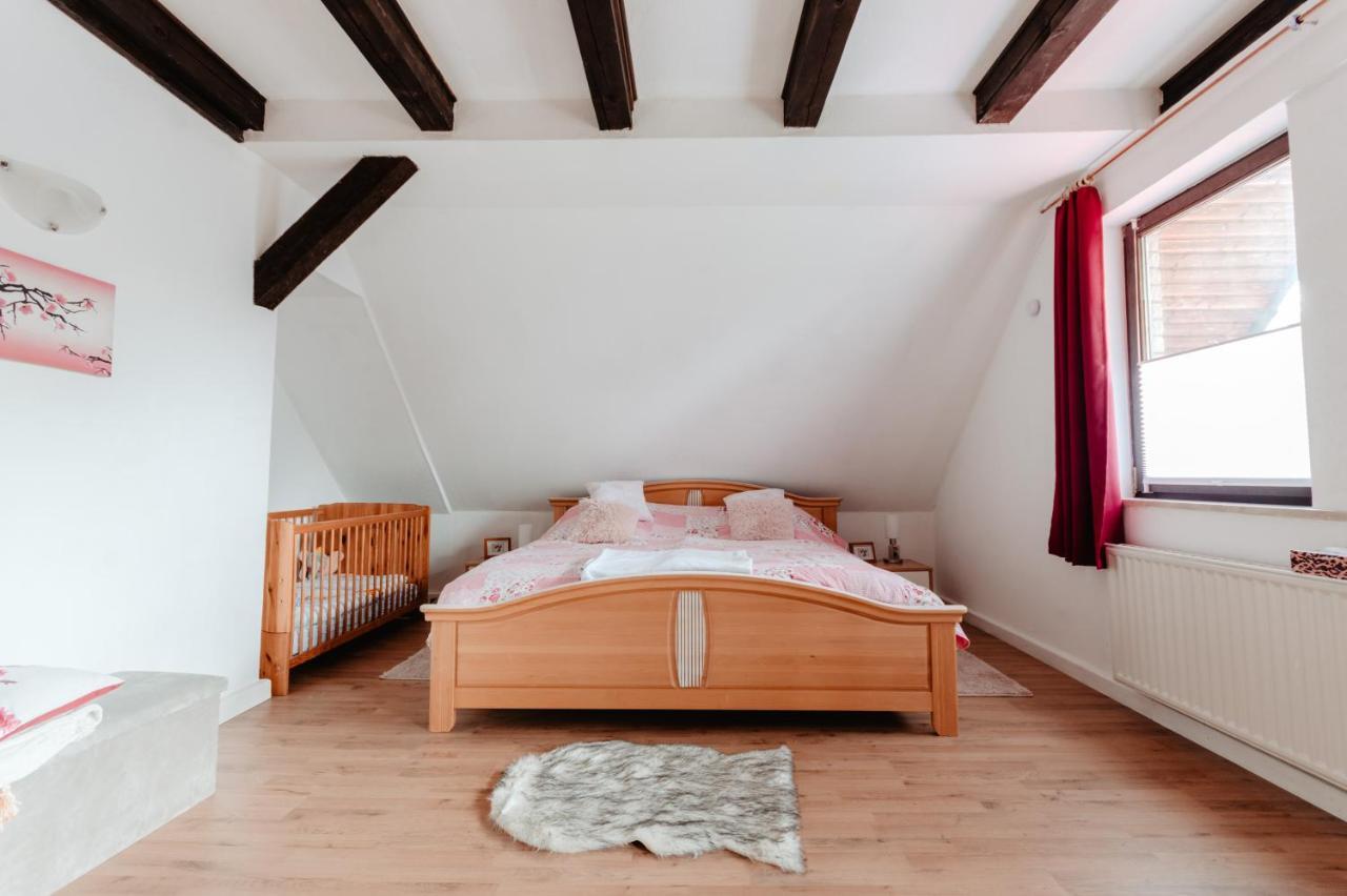 Olifant In Osterode Apartment Osterode am Harz ภายนอก รูปภาพ