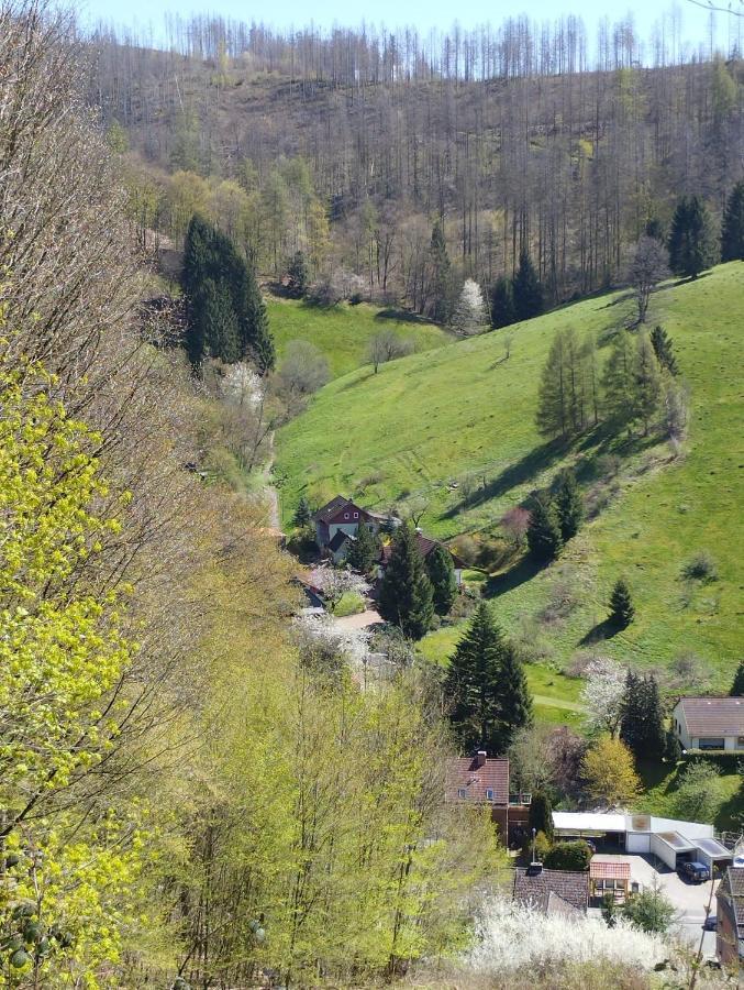 Olifant In Osterode Apartment Osterode am Harz ภายนอก รูปภาพ