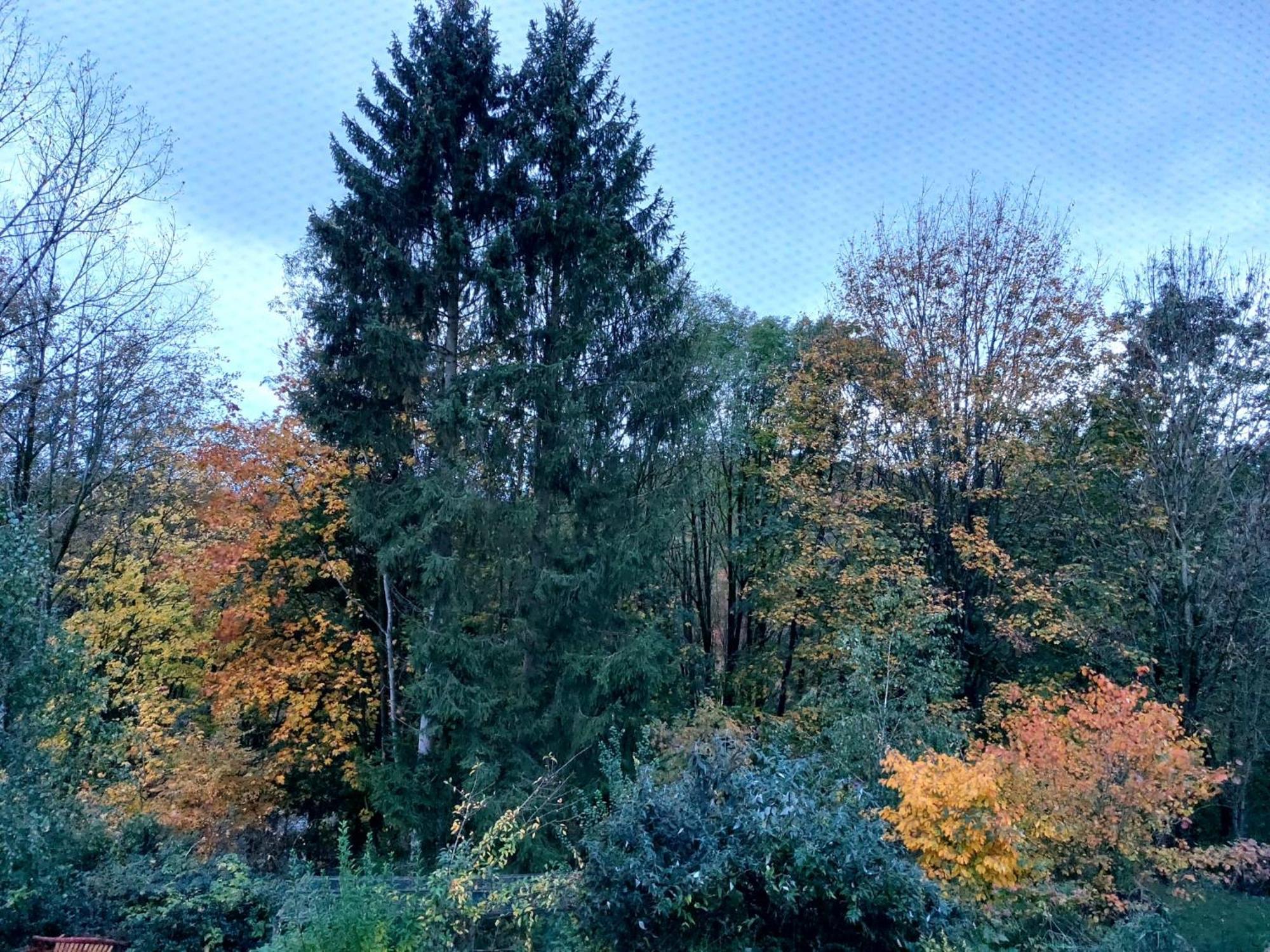 Olifant In Osterode Apartment Osterode am Harz ภายนอก รูปภาพ