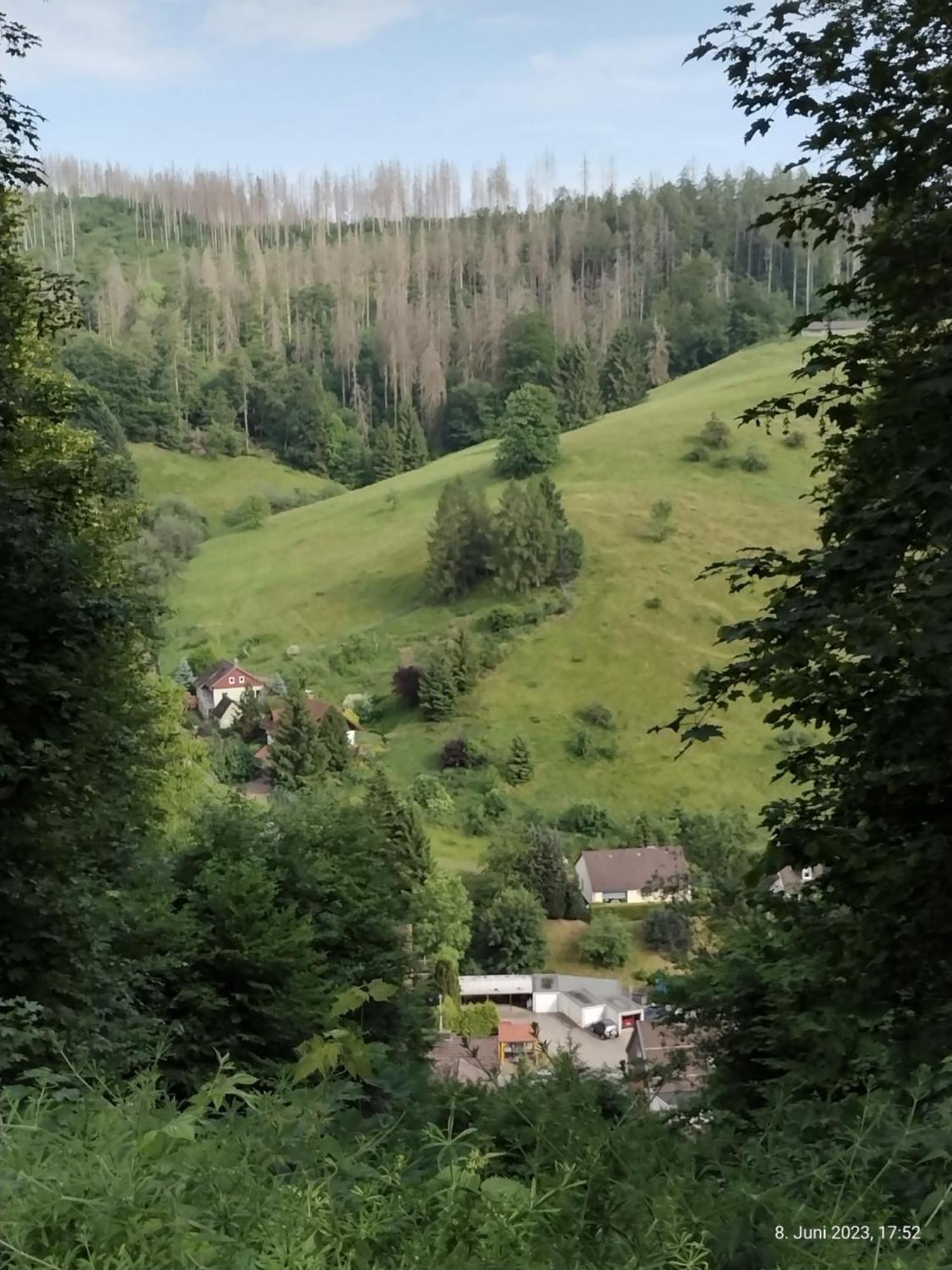 Olifant In Osterode Apartment Osterode am Harz ภายนอก รูปภาพ