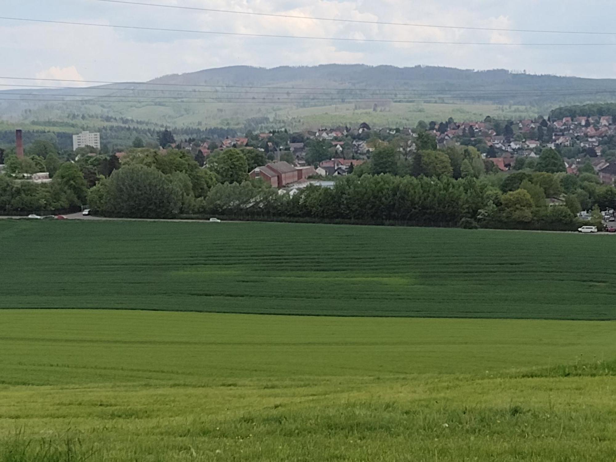 Olifant In Osterode Apartment Osterode am Harz ภายนอก รูปภาพ